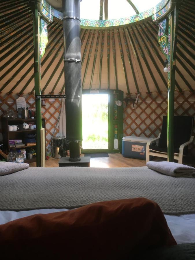 Penbedw Uchaf Estate - Rural Retreats, Tennis Mold Extérieur photo